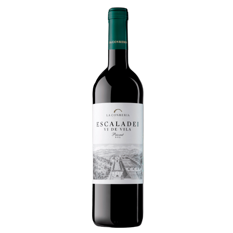 ESCALADEI VI DE VILA 2017