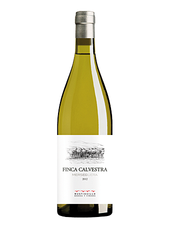 FINCA CALVESTRA (WEISSWEIN) 2022