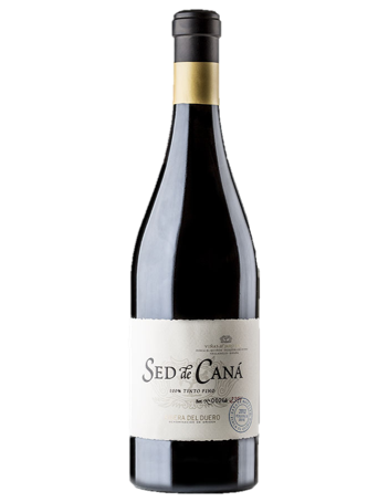 SED DE CANÁ 2019